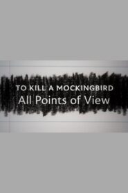 To Kill a Mockingbird: All Points of View 2022 one on netflix