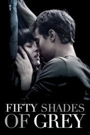 Fifty Shades of Grey 2015 one on netflix