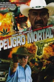 Mortal Danger 2012 one on netflix