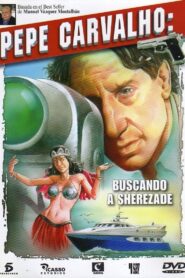 Buscando a Sherezade 1999 one on netflix