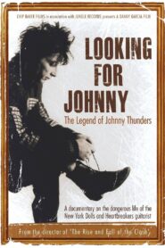 Looking for Johnny 2014 one on netflix