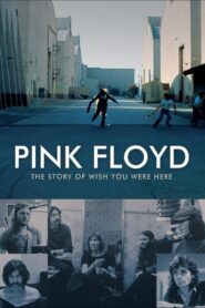 Pink Floyd: The Story of Wish You Were Here 2012 one on netflix