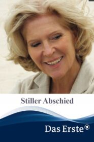 Stiller Abschied 2013 one on netflix