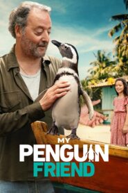 My Penguin Friend 2024 one on netflix