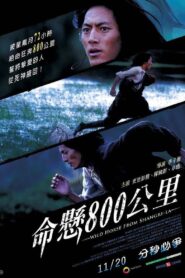 Wild Horse from Shangri-La 2009 one on netflix