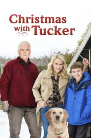 Christmas with Tucker 2013 one on netflix