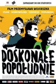 The Perfect Afternoon 2007 one on netflix
