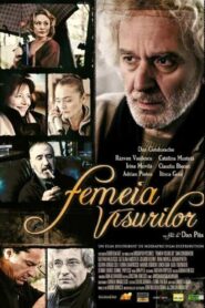 The Woman in the Dream 2005 one on netflix