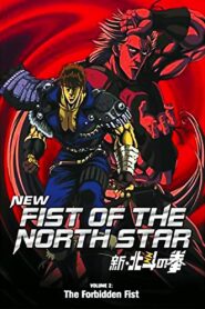 New Fist of the North Star: The Forbidden Fist 2003 one on netflix