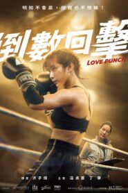 Love Punch 2023 one on netflix