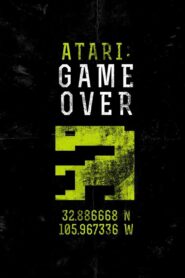 Atari: Game Over 2014 one on netflix