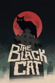 The Black Cat 1981 one on netflix