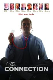 The Connection 2014 one on netflix