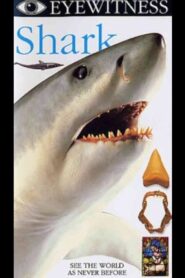 Eyewitness: Shark 1994 one on netflix