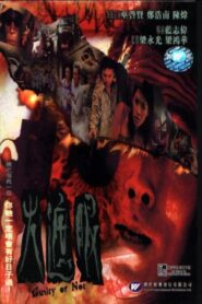 Guilty or Not 2000 one on netflix