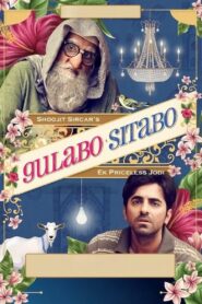 Gulabo Sitabo 2020 one on netflix