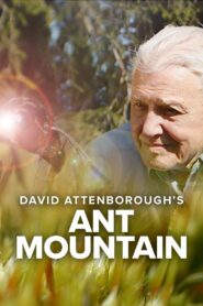 David Attenborough’s Ant Mountain 2017 one on netflix