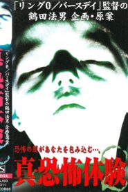 True Horror Experience 2 2000 one on netflix