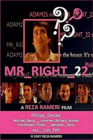 Mr_Right_22 2007 one on netflix
