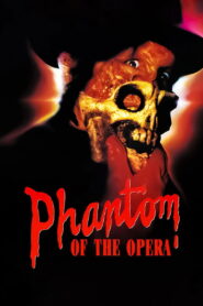 The Phantom of the Opera 1989 one on netflix