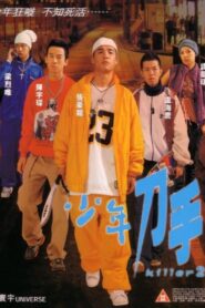 Killer 2 2003 one on netflix