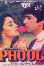 Phool 1993 one on netflix