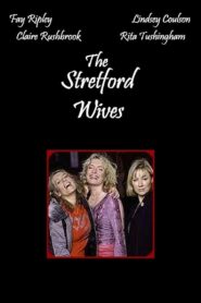The Stretford Wives 2002 one on netflix