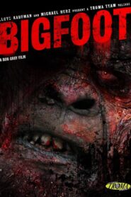 Bigfoot 2006 one on netflix