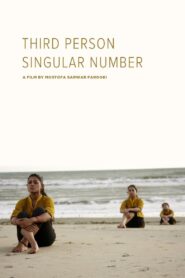 Third Person Singular Number 2009 one on netflix