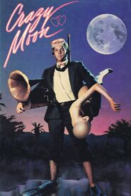 Crazy Moon 1987 one on netflix