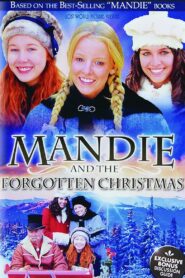 Mandie and the Forgotten Christmas 2011 one on netflix