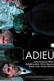Adieu 2004 one on netflix