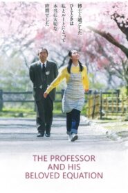 The Professor and His Beloved Equation 2006 one on netflix