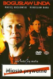 Private Town 1994 one on netflix