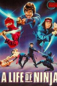 Deadly Life of a Ninja 1983 one on netflix