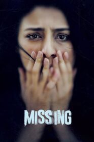 Missing 2018 one on netflix