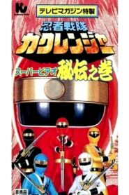 Ninja Sentai Kakuranger Super Video: The Hidden Scroll 1995 one on netflix