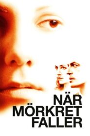 When Darkness Falls 2006 one on netflix
