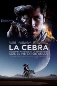 The Zebra 2011 one on netflix