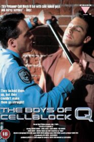 The Boys of Cellblock Q 1992 one on netflix