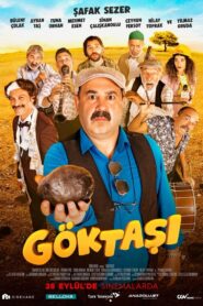 Göktaşı 2018 one on netflix