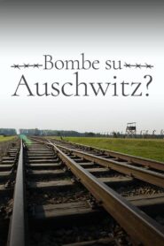 1944: Should We Bomb Auschwitz? 2019 one on netflix