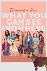 What You Can See from Here 2022 one on netflix