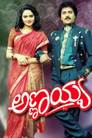 Annayya 1993 one on netflix
