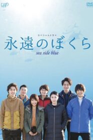 Sea Side Blue 2015 one on netflix