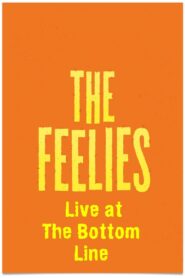 The Feelies: Live at The Bottom Line 1990 one on netflix