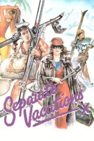 Separate Vacations 1986 one on netflix