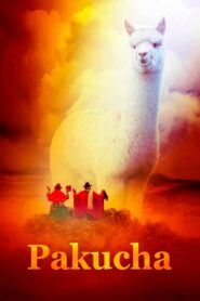 Pakucha 2021 one on netflix
