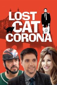 Lost Cat Corona 2017 one on netflix