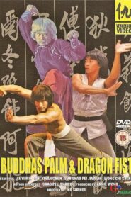 Roving Heroes 1980 one on netflix
